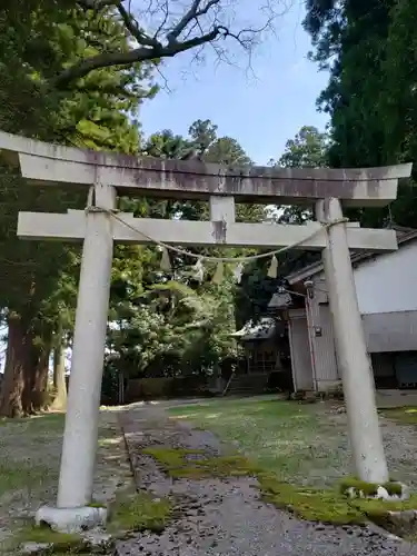 松島八幡宮の鳥居