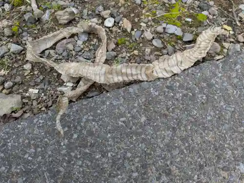 華厳寺(岐阜県)