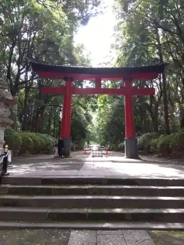 大宮八幡宮の鳥居