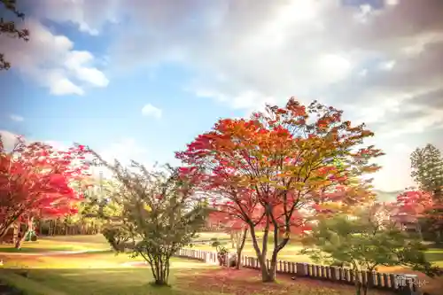 遠野郷八幡宮(岩手県)