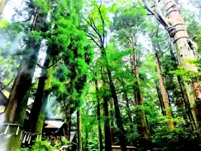 高千穂神社(宮崎県)