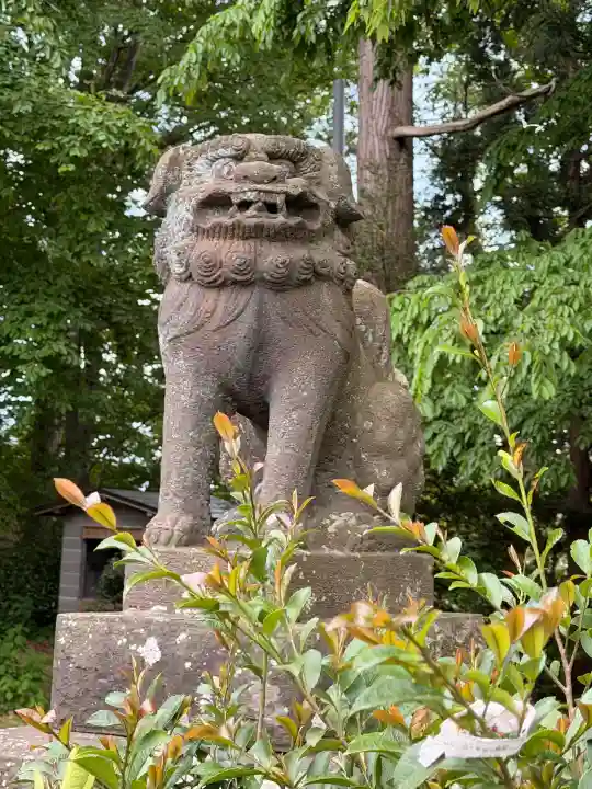 鷹巣神社の{uncategorized: "未分類", other: "その他", undefined: "問題あり", building: "その他建物", grave: "お墓", sacred_gate: "鳥居", guardian: "狛犬", statue: "像", buddha: "仏像", history: "歴史", nature: "自然", garden: "庭園", animal: "動物", pagoda: "塔", temizu: "手水舎", mountain_gate: "山門・神門", sanctuary: "本殿・本堂", subordinate: "末社・摂社", art: "芸術", scenery: "景色", jizo: "地蔵", ema: "絵馬", goshuin: "御朱印", omikuji: "おみくじ", items: "授与品その他", amulet: "お守り", goshuincho: "御朱印帳", eats: "食事", festival: "お祭り", votive_dance: "神楽", shichigosan: "七五三参", wedding: "結婚式", experience: "体験その他", initially: "初詣", around: "周辺", anti_infection: "感染症対策"}