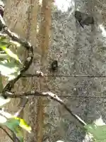 宝戒寺(神奈川県)