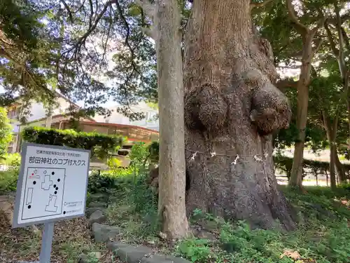 部田神社の自然