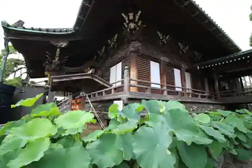 題経寺（柴又帝釈天）の本殿・本堂