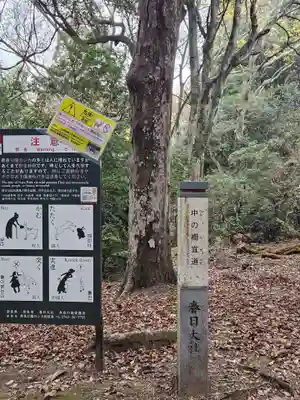 春日大社(奈良県)