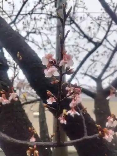 淡島社(神奈川県)