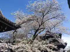 吉祥寺(東京都)