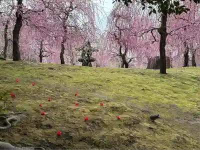 城南宮(京都府)