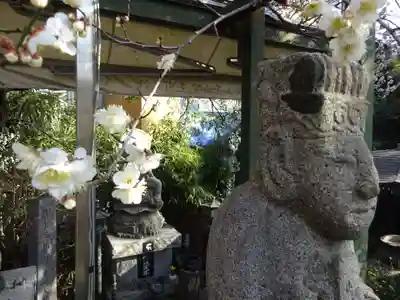 玉眞院玉川大師の自然