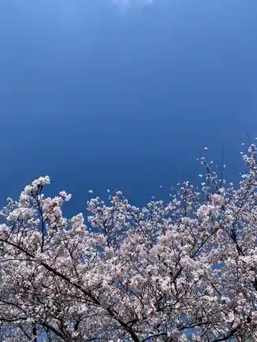 滑川神社 - 仕事と子どもの守り神(福島県)