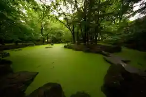 帯廣神社の庭園(2021年06月20日(日) 10時49分18秒投稿)
