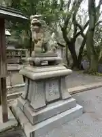 若松白山神社の狛犬