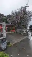 樫本神社(大原野神社境外摂社)(京都府)