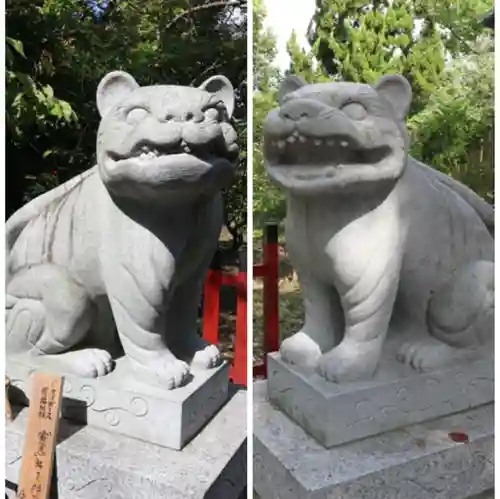 大江神社の狛犬