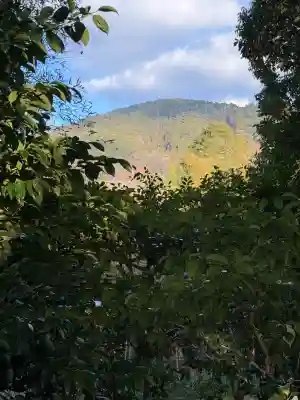  久延彦神社(奈良県)
