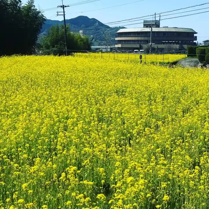 光三寶荒神社の自然