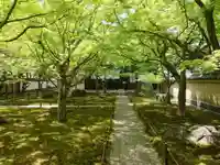 黄梅院(京都府)