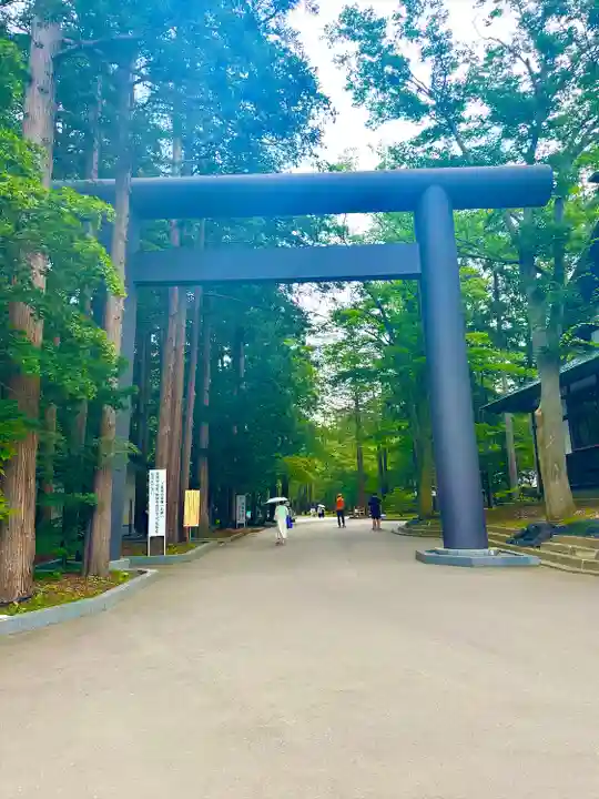 北海道神宮の鳥居