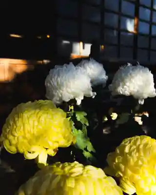 西善寺(埼玉県)