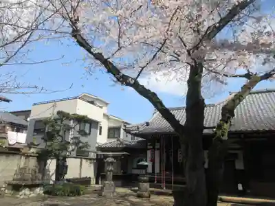 観明寺(東京都)