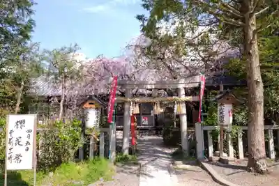 水火天満宮(京都府)
