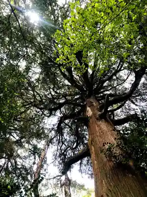 市房山神宮の自然