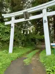 白髭神社の鳥居