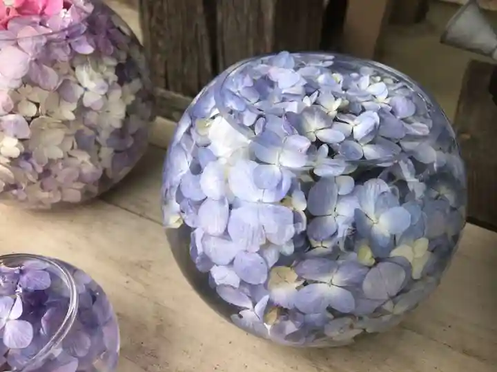 般若寺 ❁コスモス寺❁(奈良県)