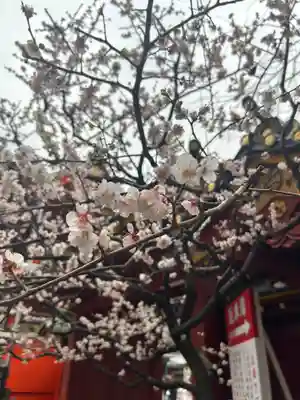 神田神社（神田明神）(東京都)