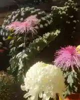 津島神社の自然