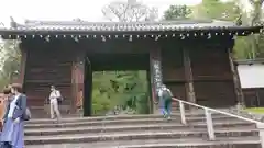 知恩院の山門