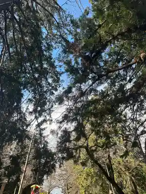 三芳野神社(埼玉県)