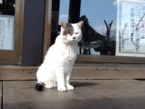 勧学寺(三重県)