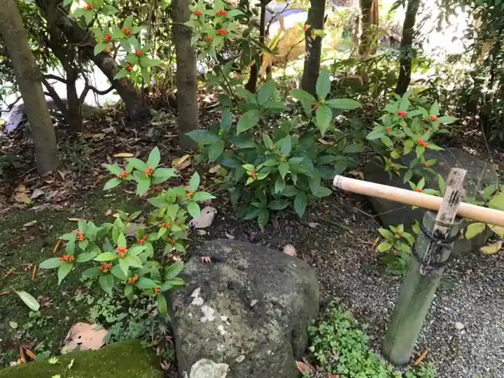 浄妙寺のその他建物