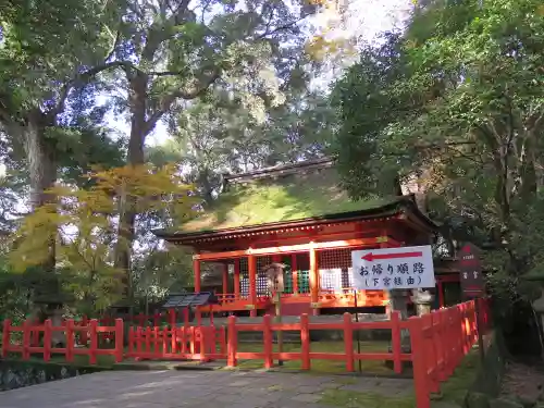 宇佐神宮の本殿