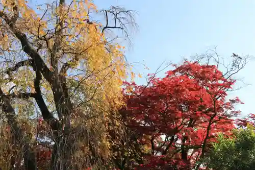 神炊館神社 ⁂奥州須賀川総鎮守⁂の自然