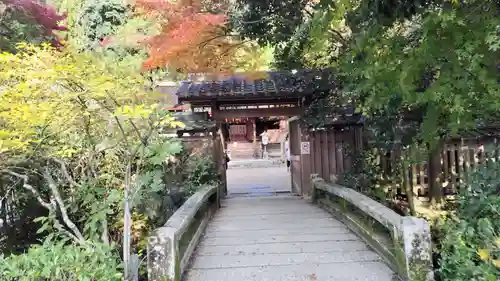 宇治上神社(京都府)