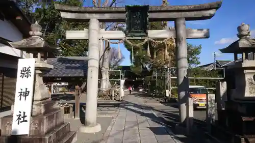 縣神社の鳥居