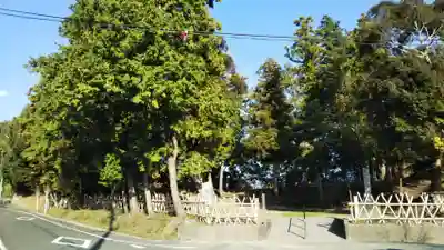 諏訪神社の周辺