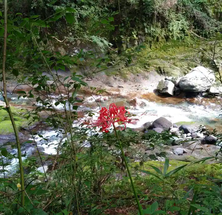 天安河原宮(宮崎県)