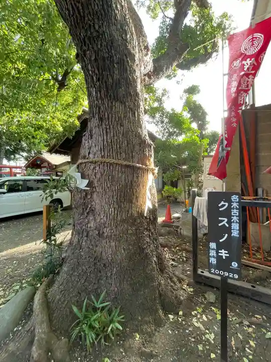 笠䅣稲荷神社(神奈川県)