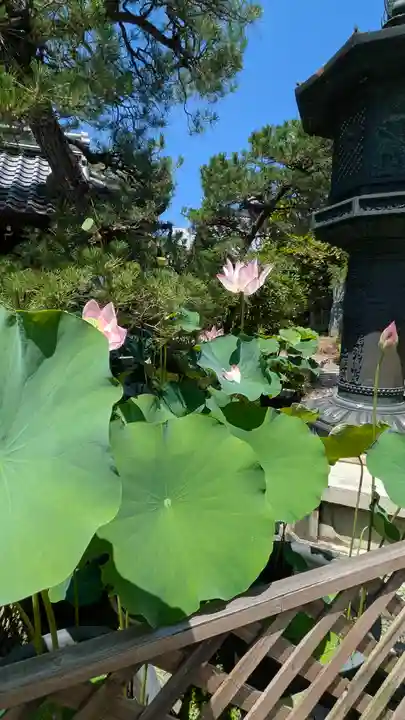 行願寺(革堂)(京都府)