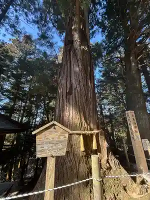 鷲子山上神社(栃木県)