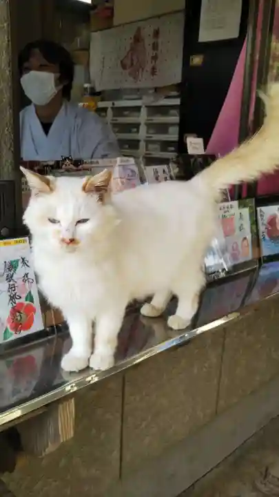鎌数伊勢大神宮の動物