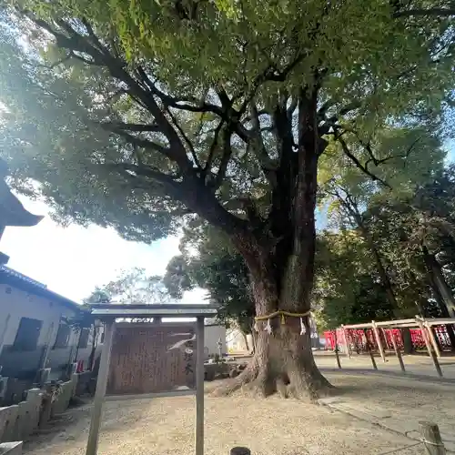 神明社（小牧神明社）(愛知県)