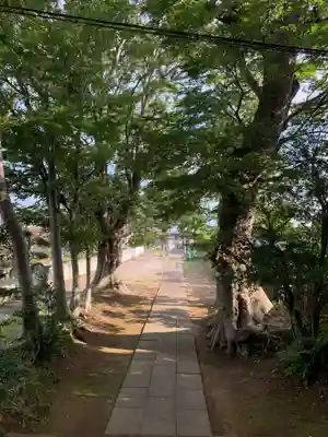 八剱神社の景色