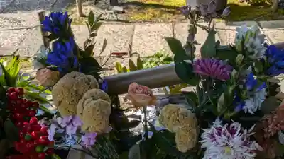 勝林寺(京都府)