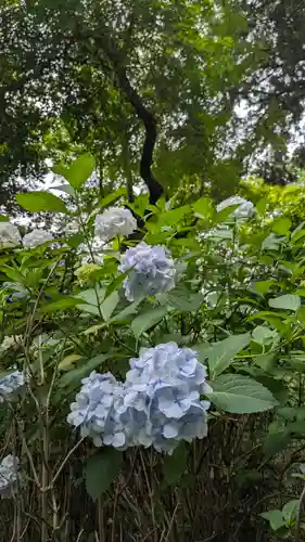 真正極楽寺（真如堂）(京都府)