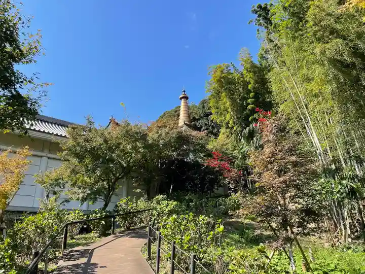 本土寺のその他建物